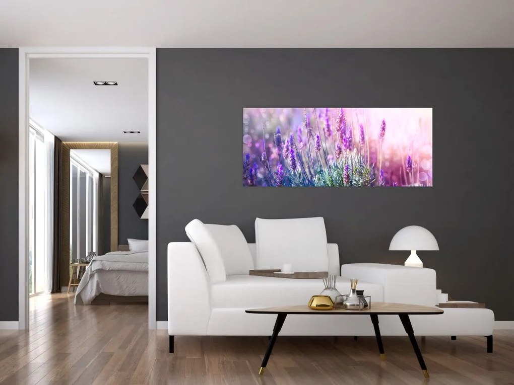 Kép - Levendula a csillogó napban (120x50 cm)