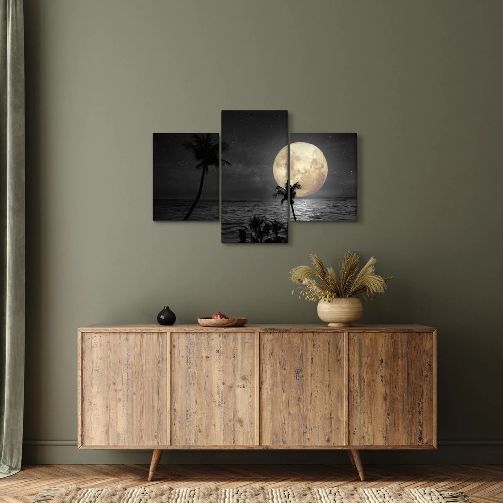 Kép - A strand a telihold alatt szürke tónusokkal (90x60 cm)