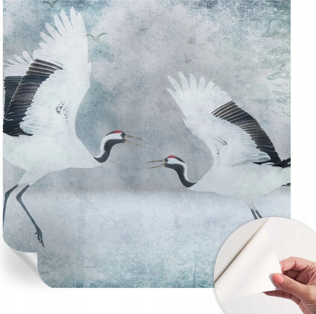 Öntapadós tapéta 3D fali ragasztóval Harmonikus daruk 250x250 cm