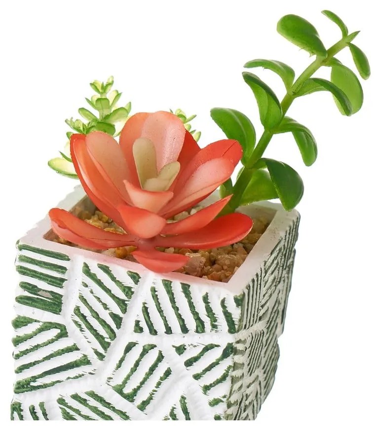 Műnövény szett 3 db-os (magasság 12 cm) Cactus – Casa Selección