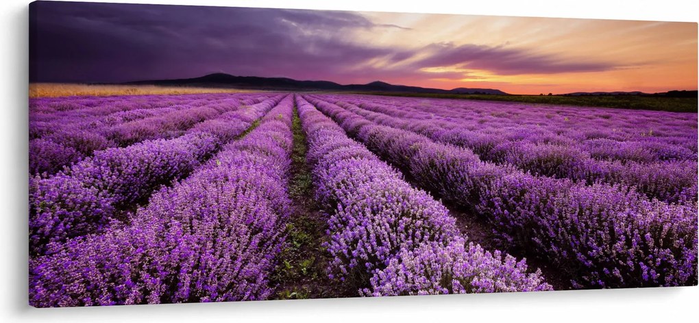 Kép - Levendulamező naplementében (120x50 cm)