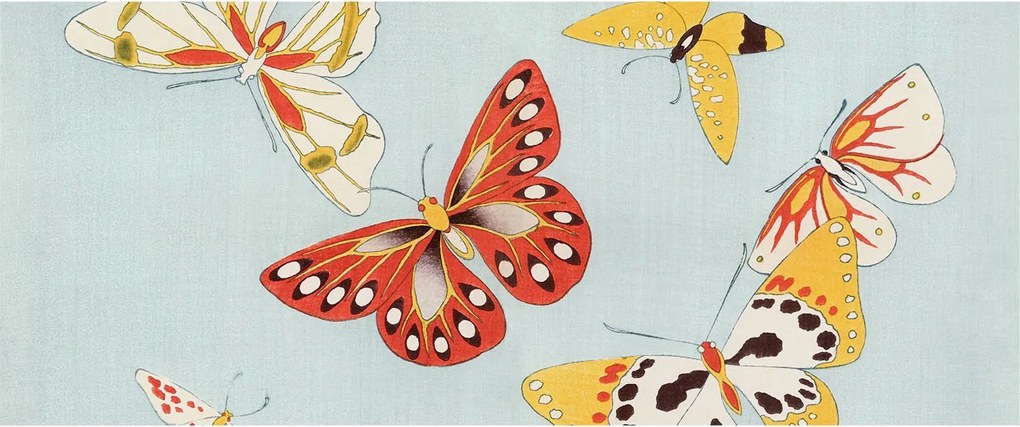 Flizelin tapéta Divatos 3D fali művészi pillangók 250x104 Ragasztóval