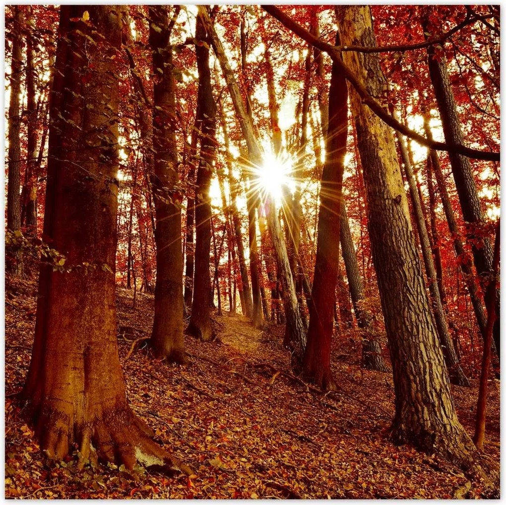 Poszterek 30x30 Tájkép Látvány