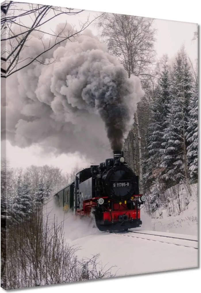 Vászonkép 40x50 Mozdony téli tájképben