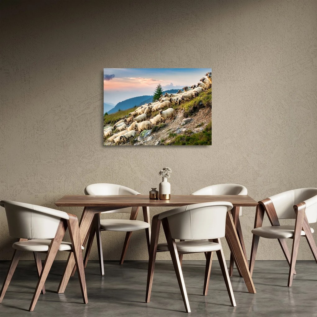 Üveg kép - Egy nyáj birka (70x50 cm)
