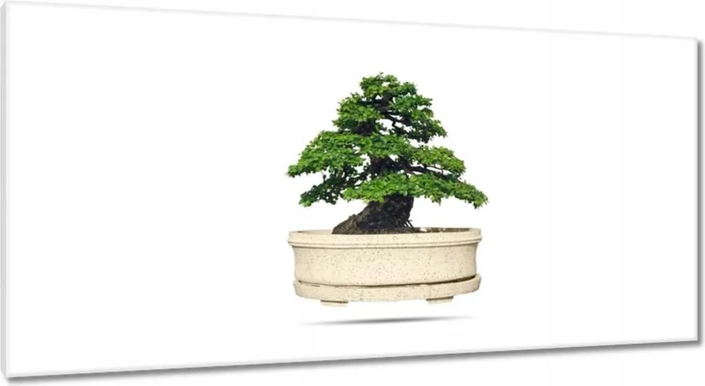 Vászonkép 115x55 Bonsai fa