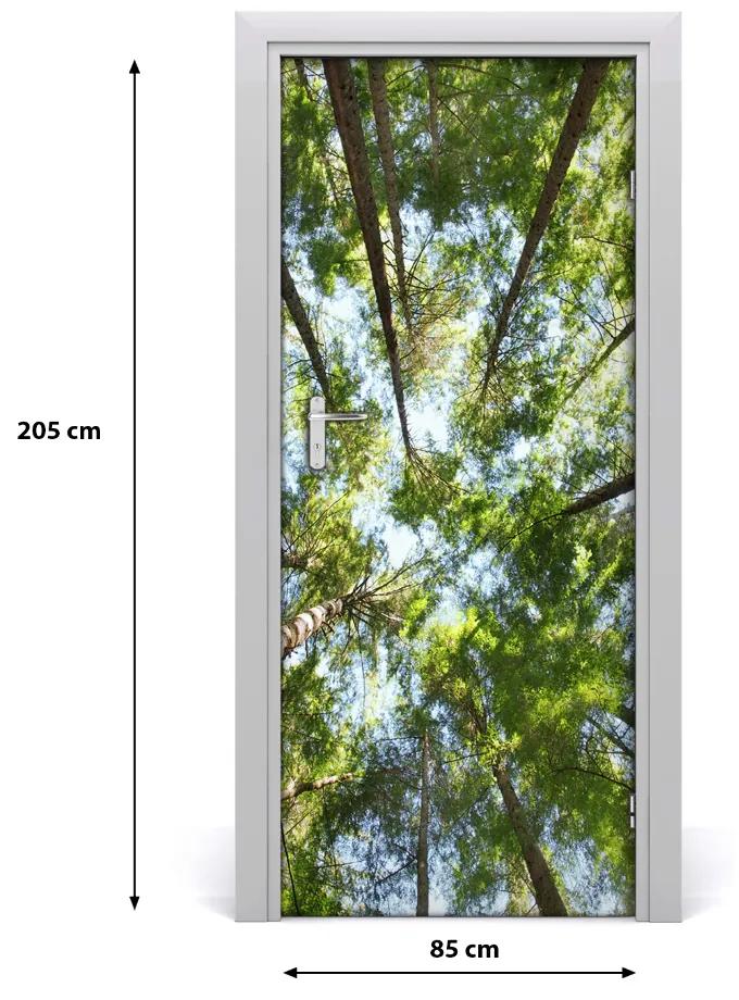 Ajtóposzter öntapadós felső ágak egy fa 95x205 cm