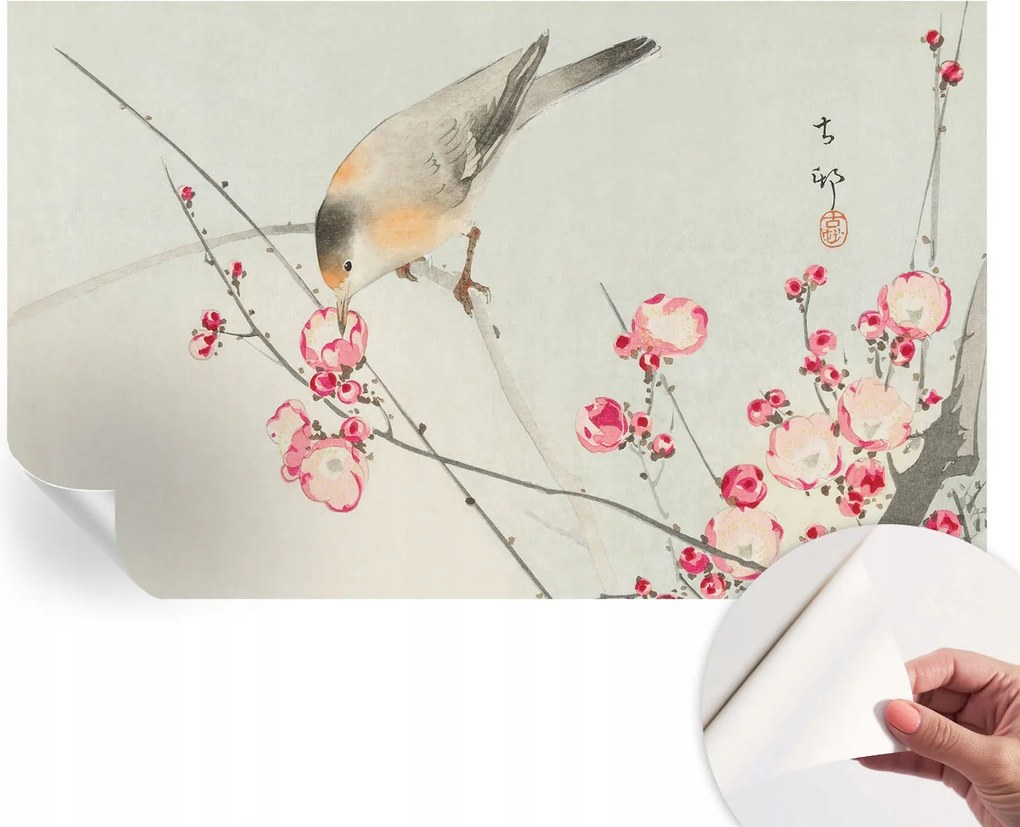 Dekoratív öntapadós fotótapéta Hálószobába Virágos madár 416x254 cm