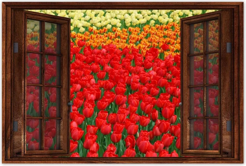 Poszterek 60x40 Pipacsos ártér