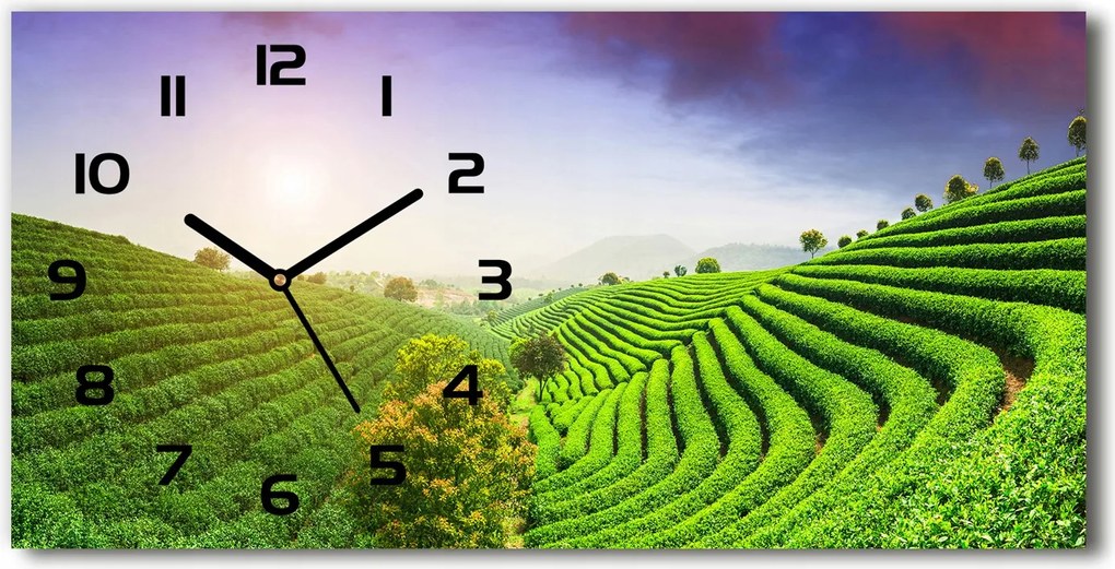 Üveg falióra Teaültetvény 60x30 cm