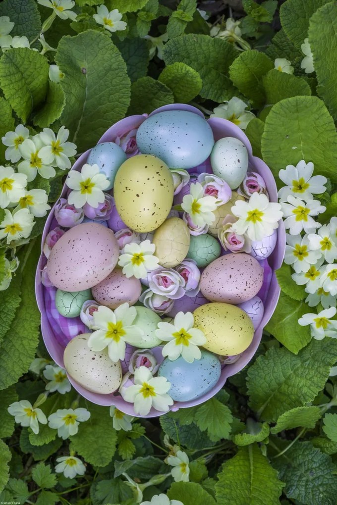 Poszter 30x45cm Húsvéti tojások kosárban 3, Assaf Frank