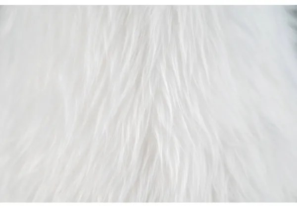 Happy Lamps - LED Asztali gyereklámpa HUGO LED/5,4W/230V bika