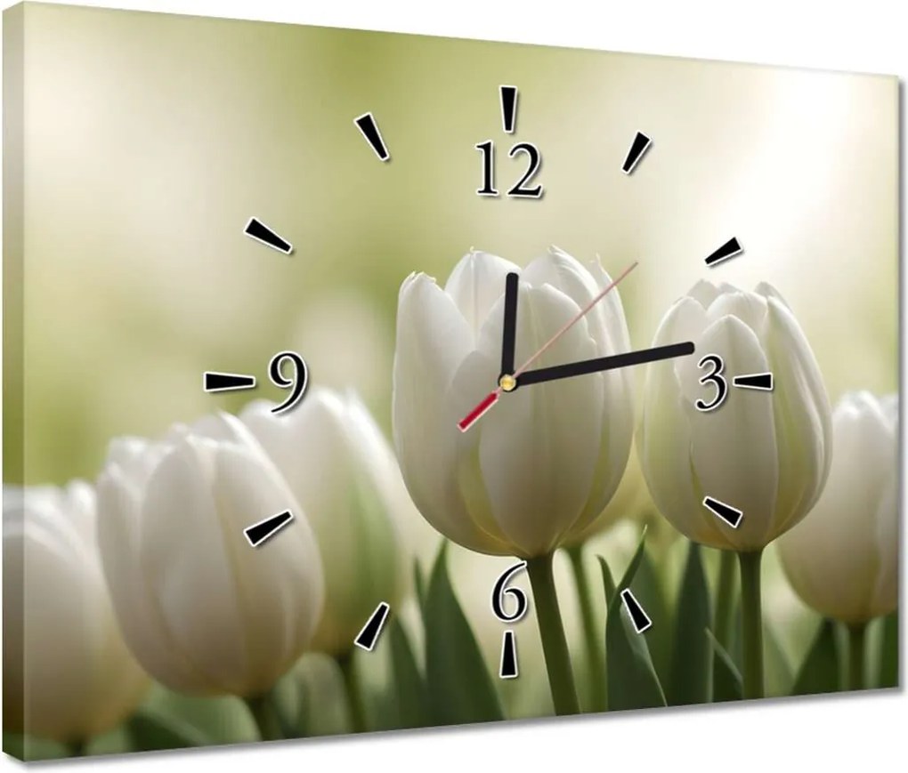 Órák 40x30 Fehér tulipánok