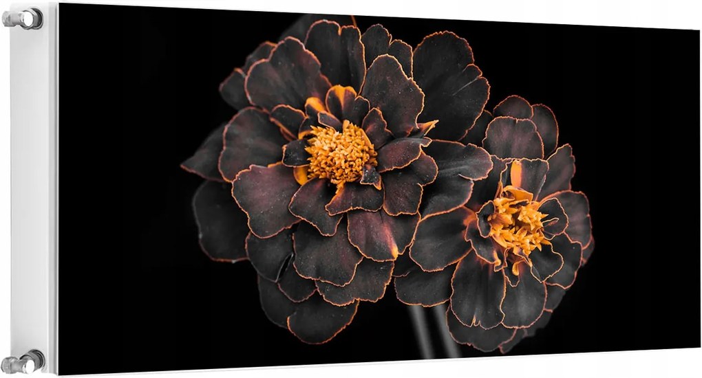 Mágneses Radiátorszőnyeg 120x60 Virágok Fotótapéta