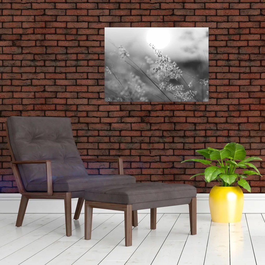 Üveg kép - Őszi rét (70x50 cm)