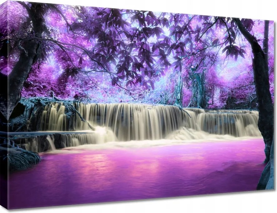 Vászonkép 70x50 Lila vízesés