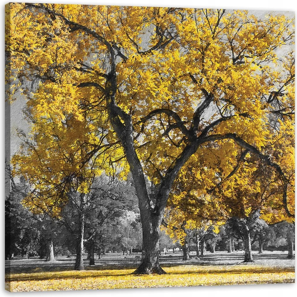 Vászonkép Fekete fák Sárga levelek 90X90 cm Ajándéknak is tökéletes