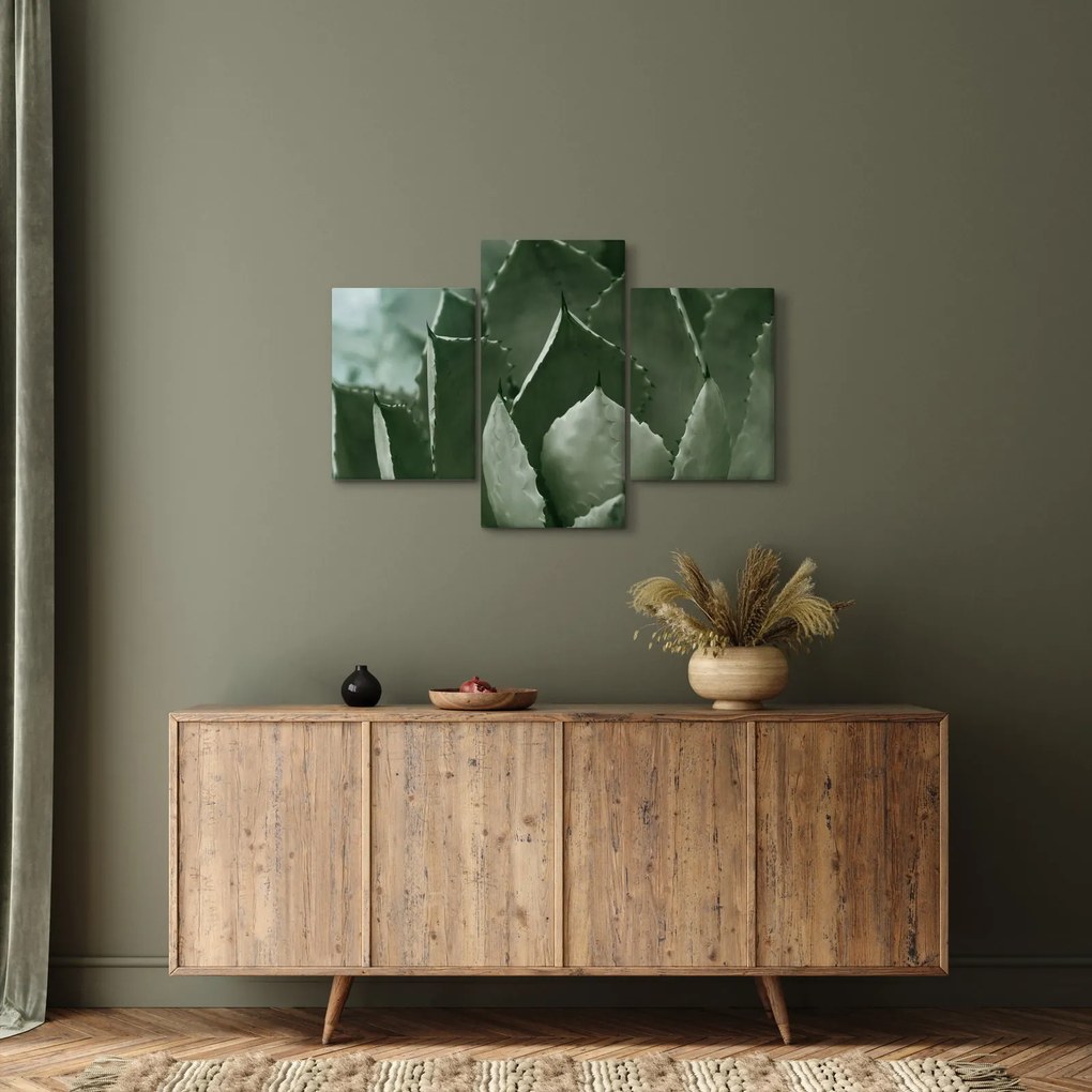 Kép - Zöld agávé (90x60 cm)