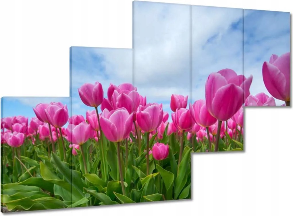 Képek 150x105 Tulipánok Valentin napra