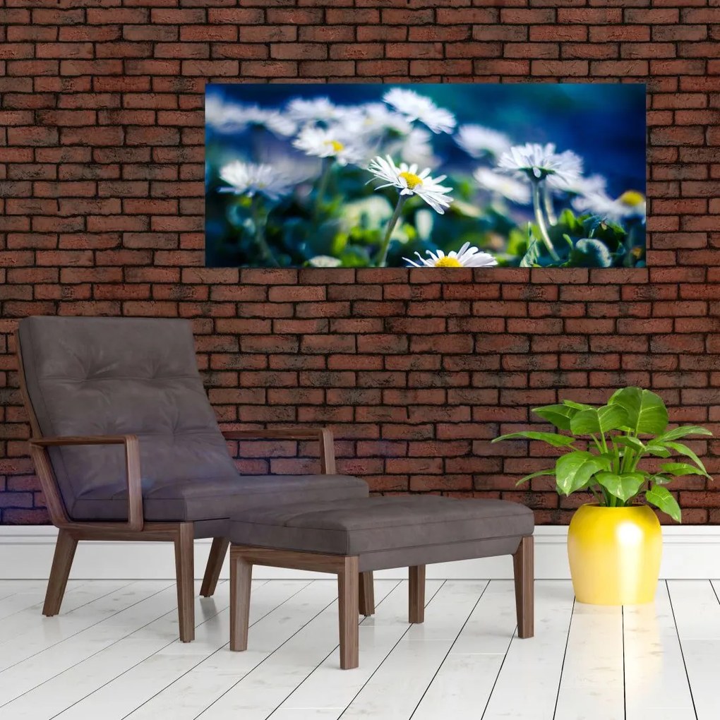 Százszorszépek képe (120x50 cm)