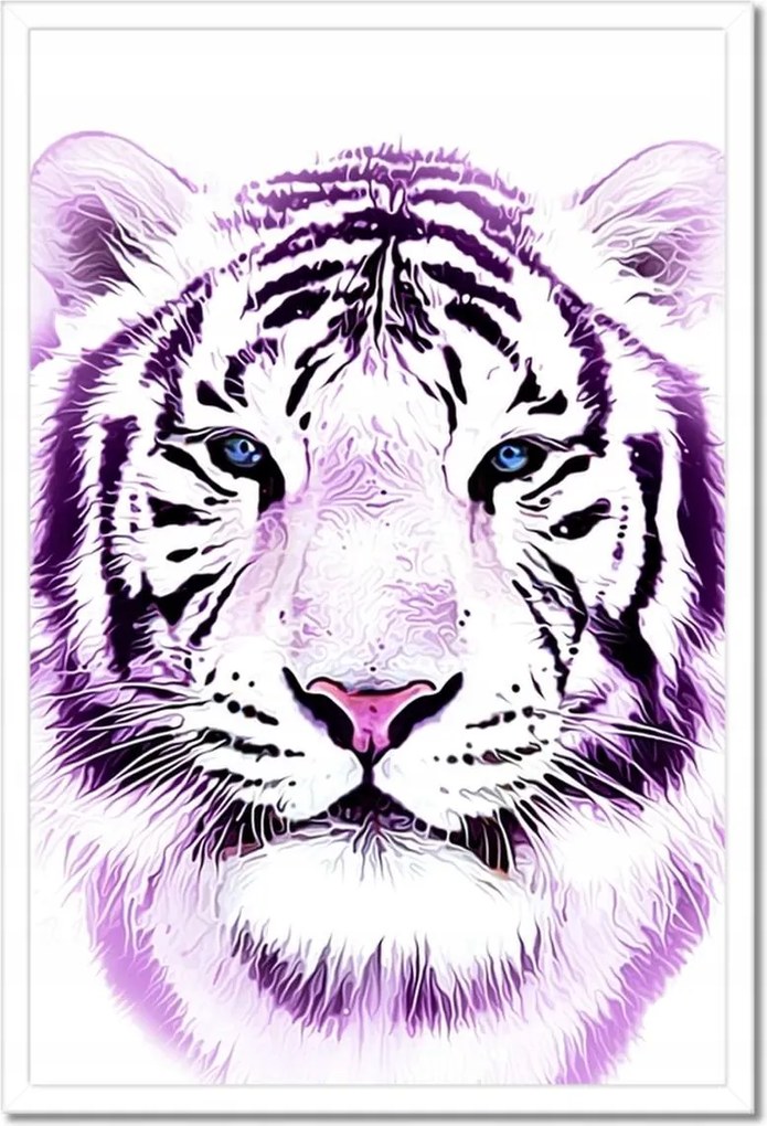 Poszterek keretben 40x60 Finom grafika Tigris fehér alapon Tigris