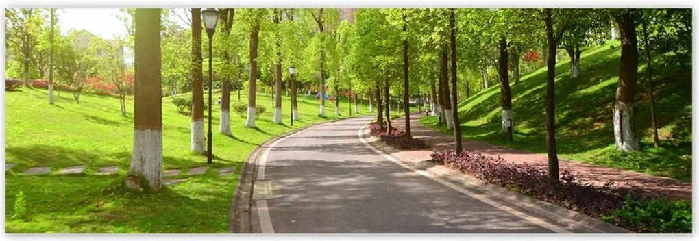 Poszterek 200x66 Ösvény a parkban természet