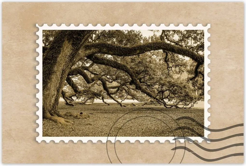 Poszterek 90x60 Erőteljes tölgy