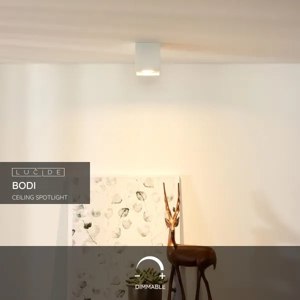 Lucide 09101/01/31 - Spotlámpa BODI 1xGU10/50W/230V