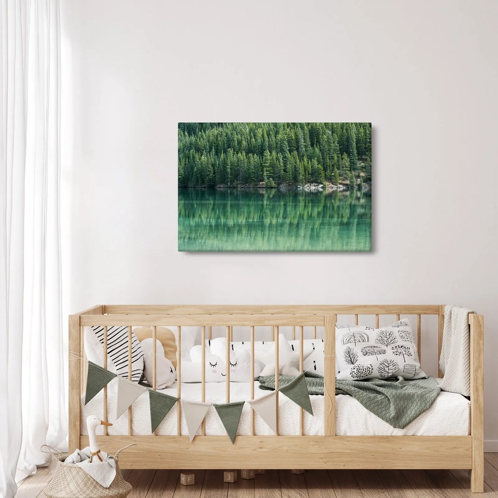 Kép - Tűlevelű a tónál (90x60 cm)
