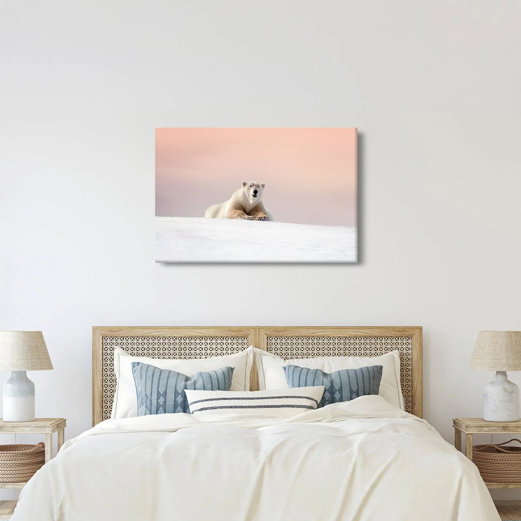 Kép - Jegesmedve (90x60 cm)