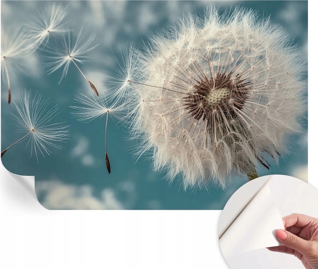 Öntapadós Dekoratív Fotótapéta Hálószobába Könnyű éteriség 152x104