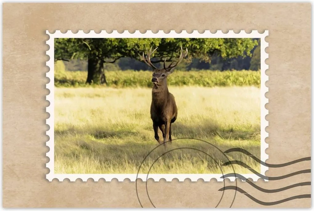 Poszterek 120x80 Szarvas a réten az erdőben