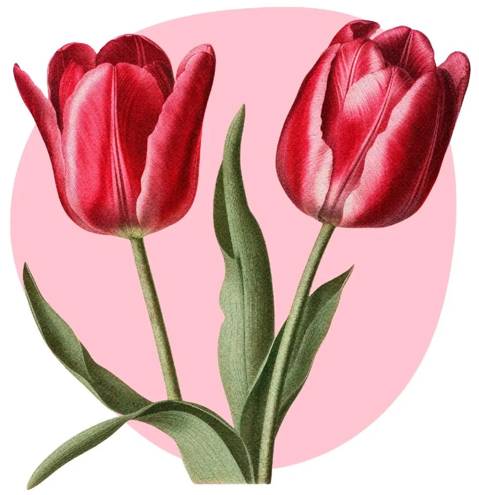 PIPPER. Textil falmatrica "Tulipánok"