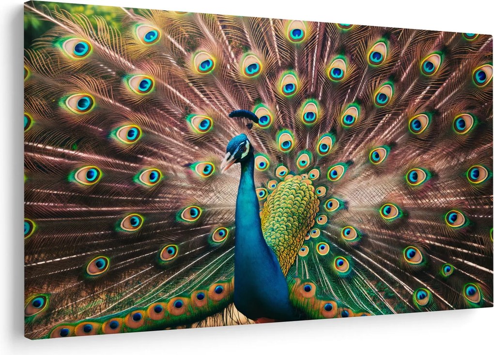 Kép - Páva (90x60 cm)