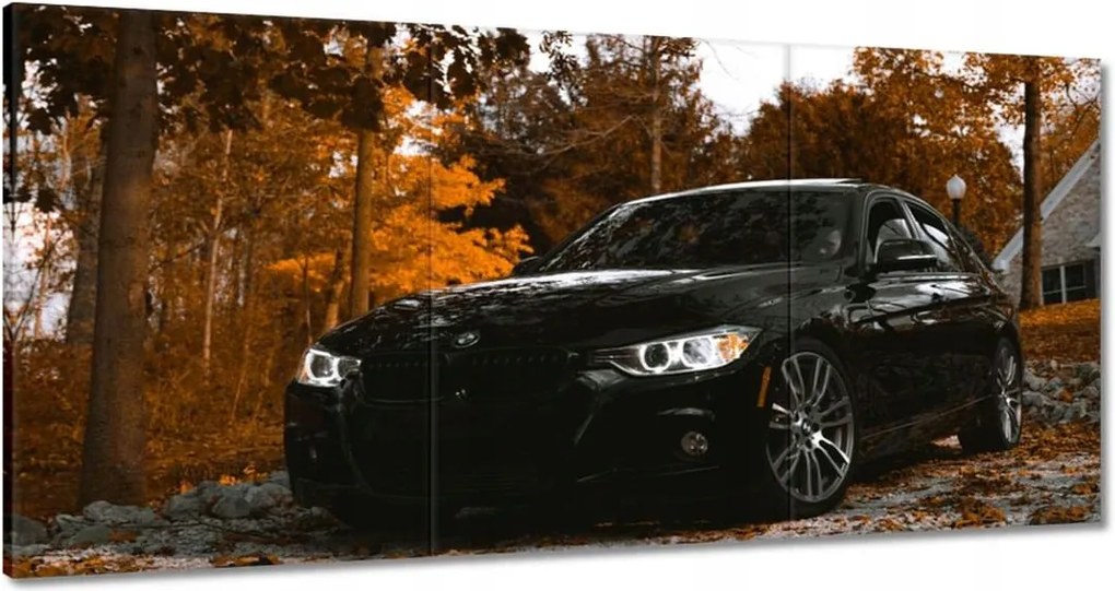 Vászonkép 60x30 Fekete Bmw Ősz