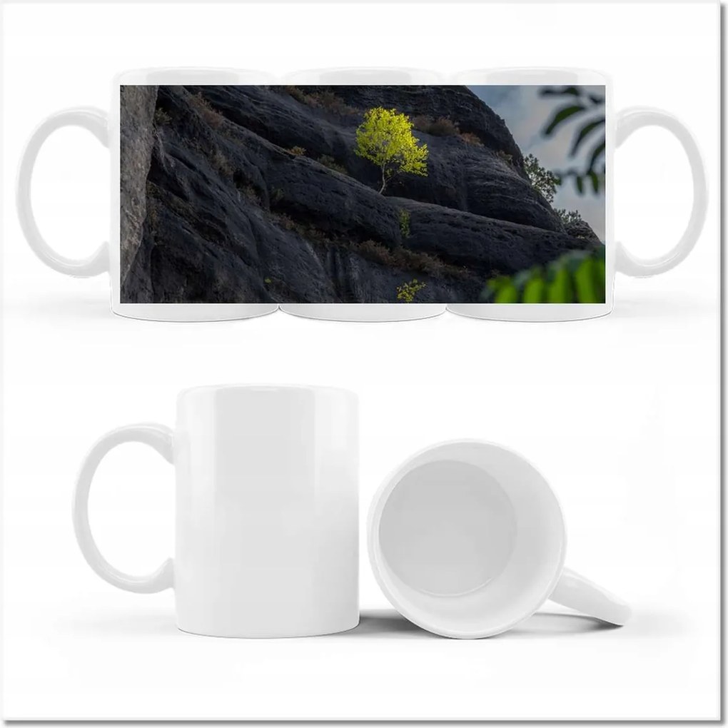 Bögre fényképpel Fa Fák Kilátás