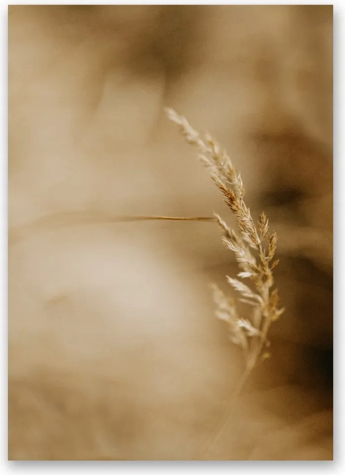 Poszter Boho dűnék poszter kép 40x50cm #170