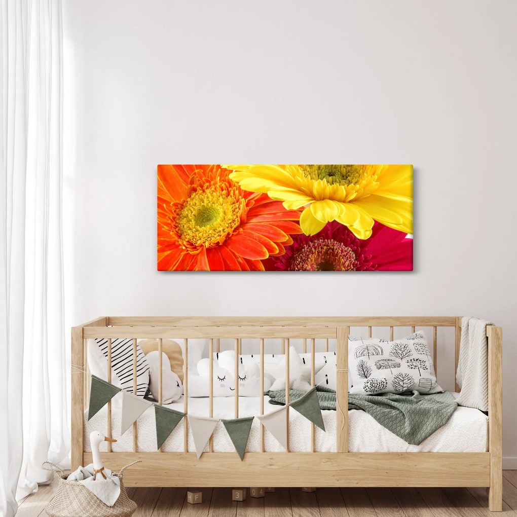 Kép - Virágok Gerbery (120x50 cm)