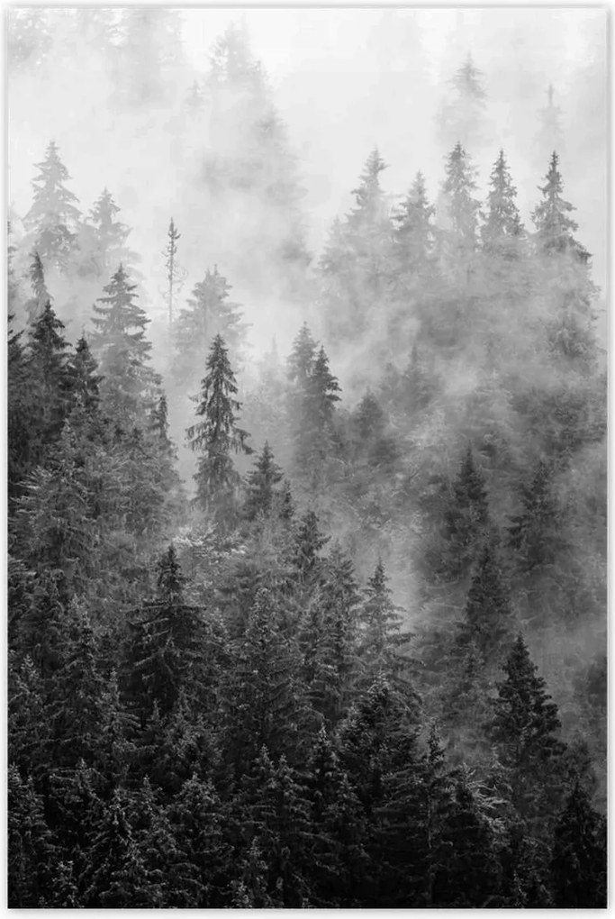 Fotótapéták 169x254 Tájkép Szürke Hegyek Köd