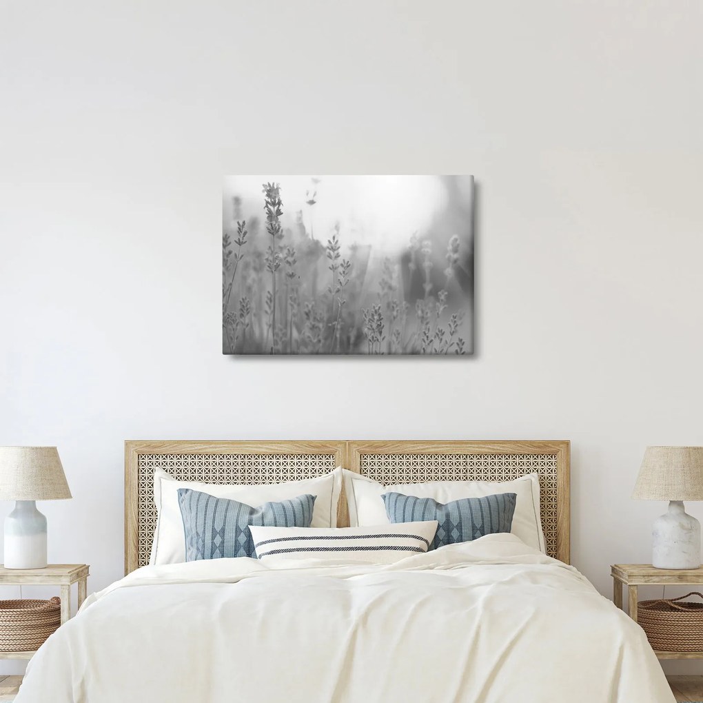 Kép - Levendula (70x50 cm)