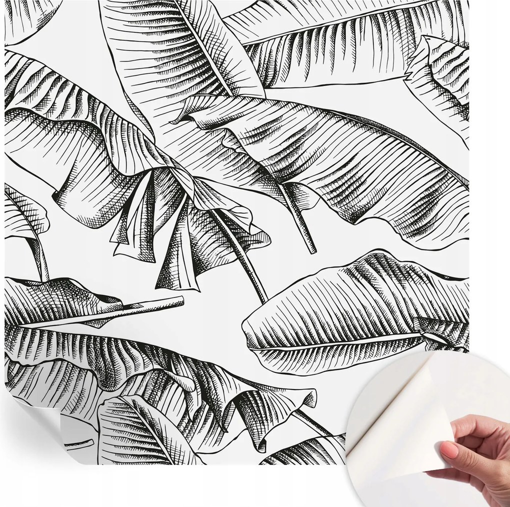 Öntapadós fotótapéta a konyhába Mosható Banán levelek 250x250 cm