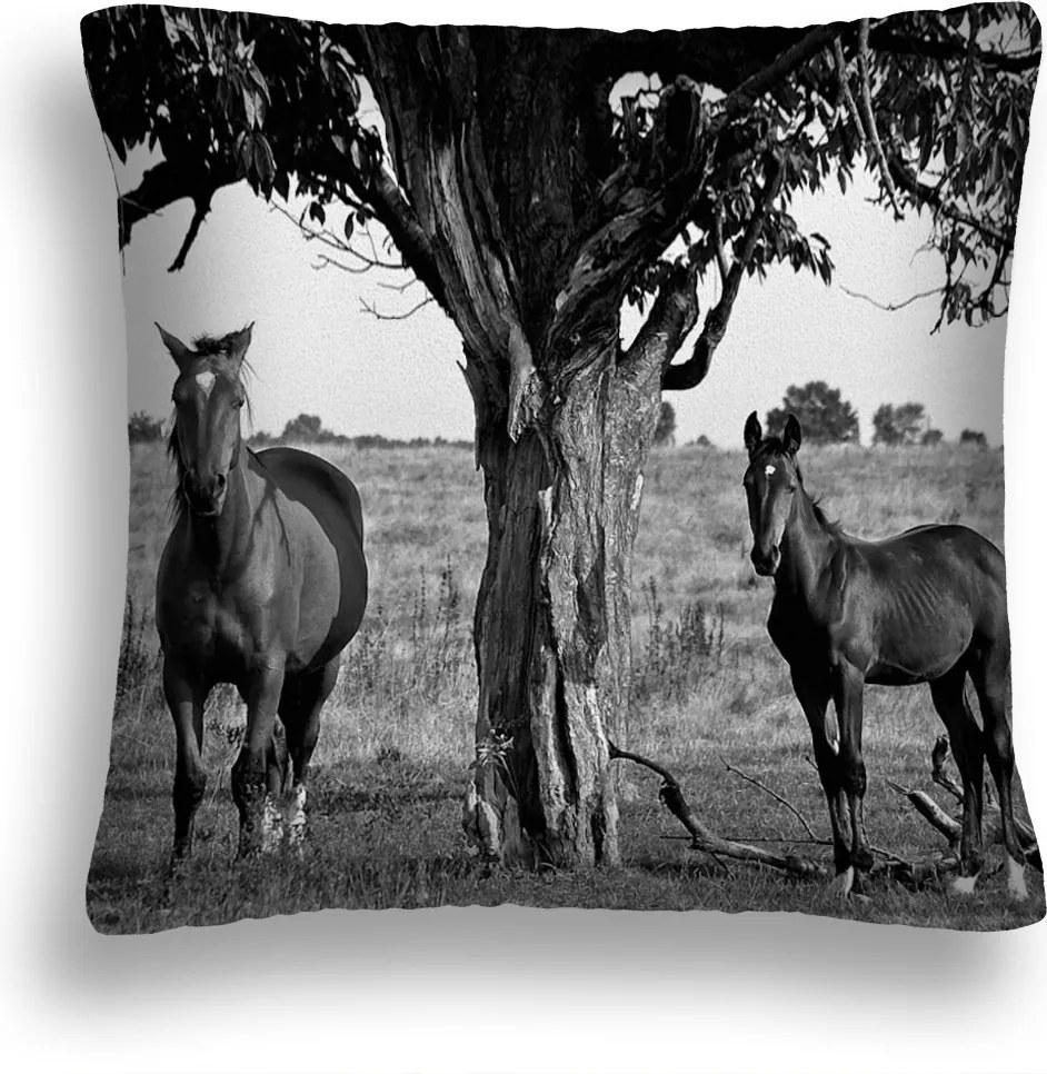 Párnahuzat És Betét 40x40 Vadlovak 13 Párna