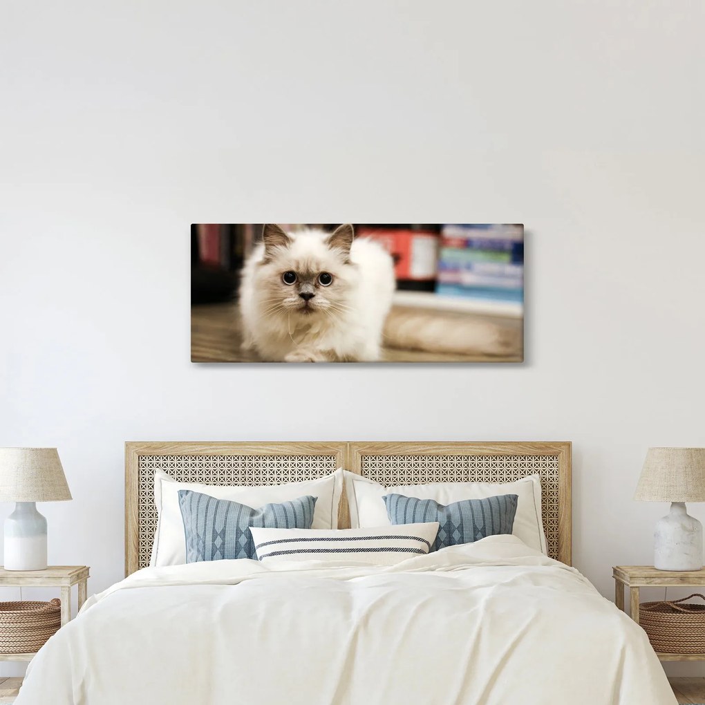 Fehér macska képe (120x50 cm)