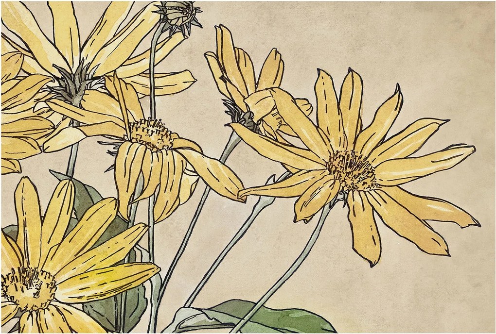 Dekoratív fotótapéta Falra Egyszerű Összeszerelés Virágok Akvarell 104x70 Ragasztó