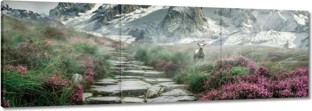 Vászonkép 90x30 Hegyi kilátás Tájkép Köd