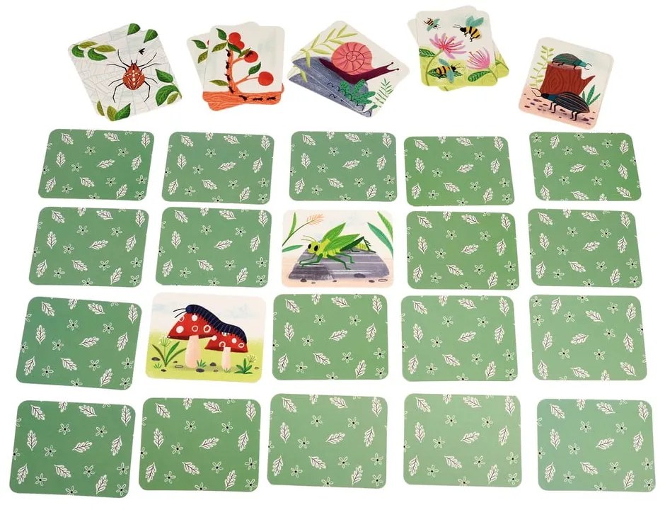 Társasjáték Wonders of Nature – Rex London