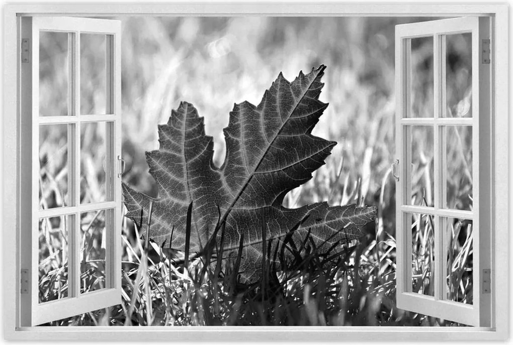 Poszterek 90x60 Őszi levél a fűben