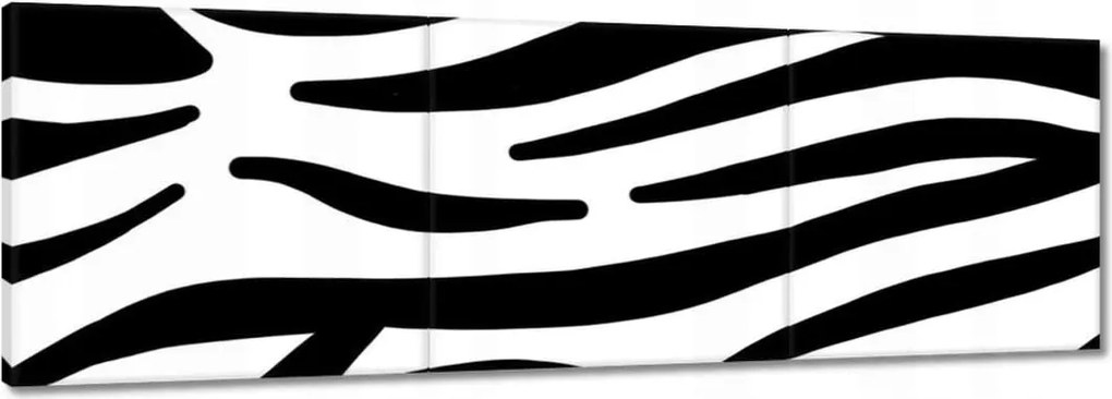 Vászonkép 90x30 Zebra csíkok