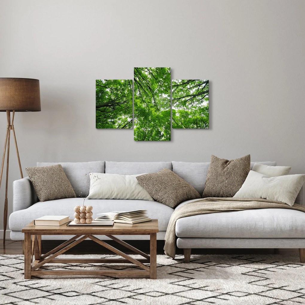 Kép - Kilátás a fák tetejére (90x60 cm)