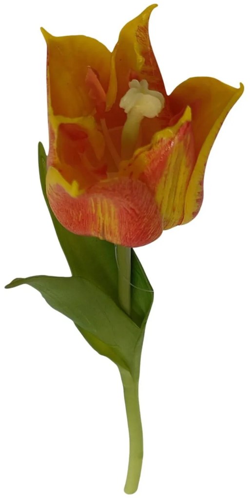 Narancssárga mű tulipán 24cm